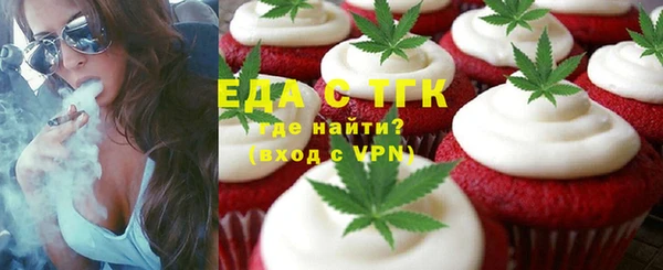 индика Новозыбков