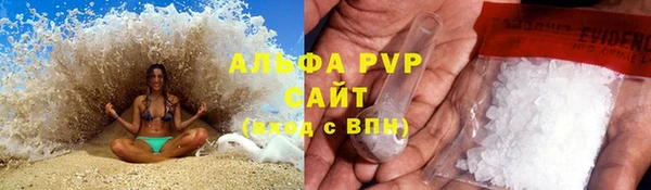 индика Новозыбков