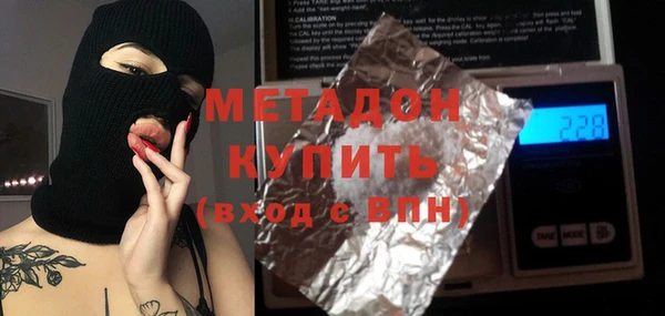 индика Новозыбков