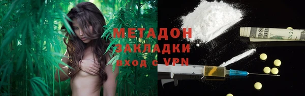индика Новозыбков