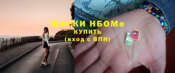индика Новозыбков