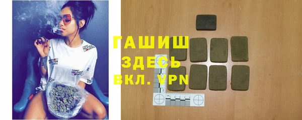индика Новозыбков