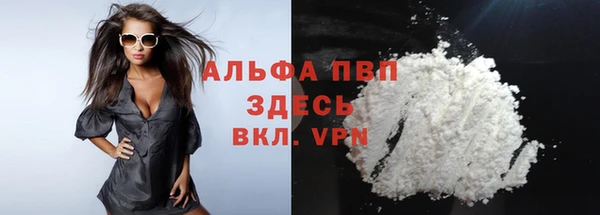 эйфоретик Новокубанск