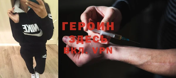 индика Новозыбков