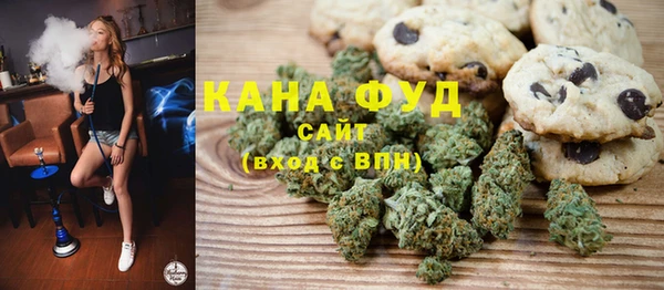 индика Новозыбков