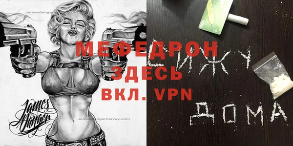 индика Новозыбков