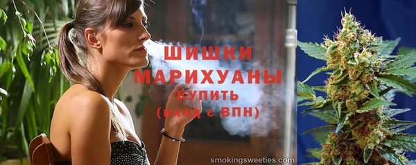 индика Новозыбков
