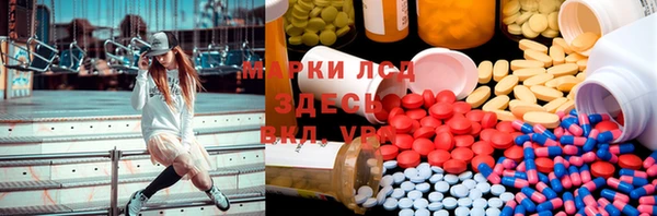 индика Новозыбков