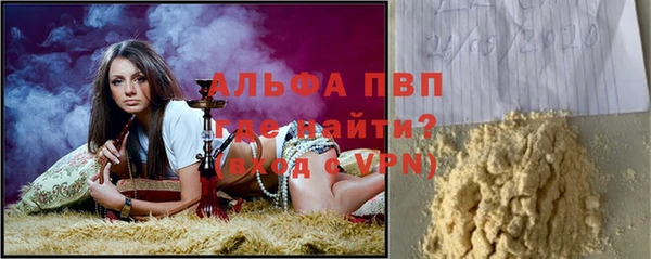 индика Новозыбков