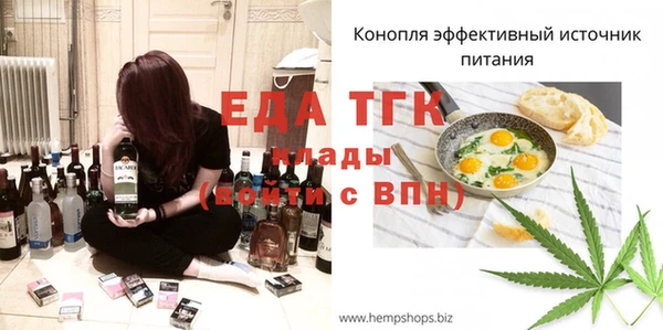 индика Новозыбков