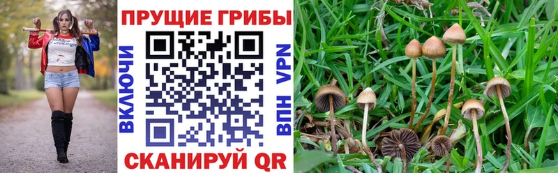 Галлюциногенные грибы GOLDEN TEACHER  наркота  МЕГА рабочий сайт  Рузаевка 